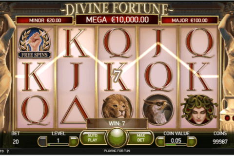 Divine Fortune winning