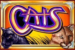Logo cats igt jeu casino 