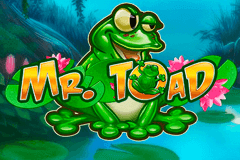 Logo mr toad playn go jeu casino 