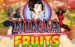 Logo ninja fruits playn go jeu casino 