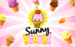 Logo sunny scoops thunderkick jeu casino 