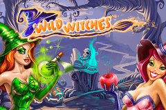 Logo wild witches netent jeu casino 