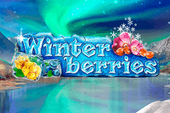 Logo winterberries yggdrasil jeu casino 